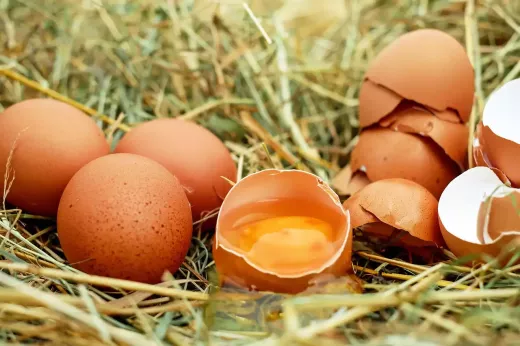 10 protein-rich foods to include in your daily meals